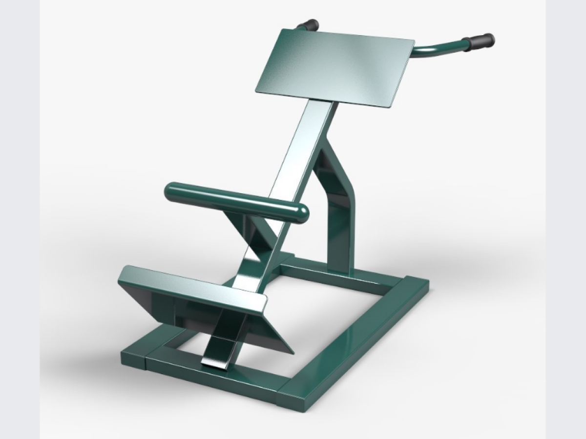 Lower Back Fitness Equipment - SWS Group