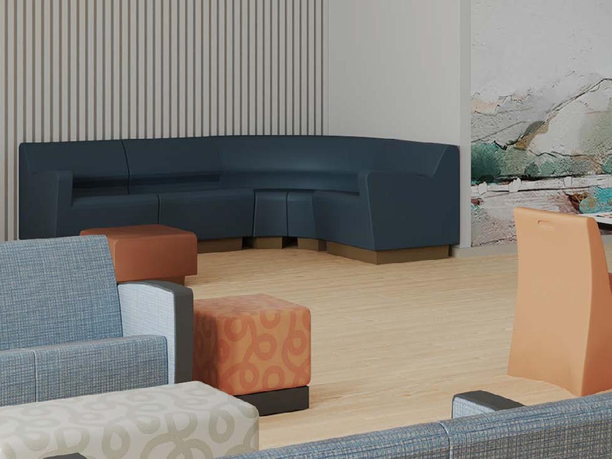 Furniture for Mental Health Facilities - SWS Group