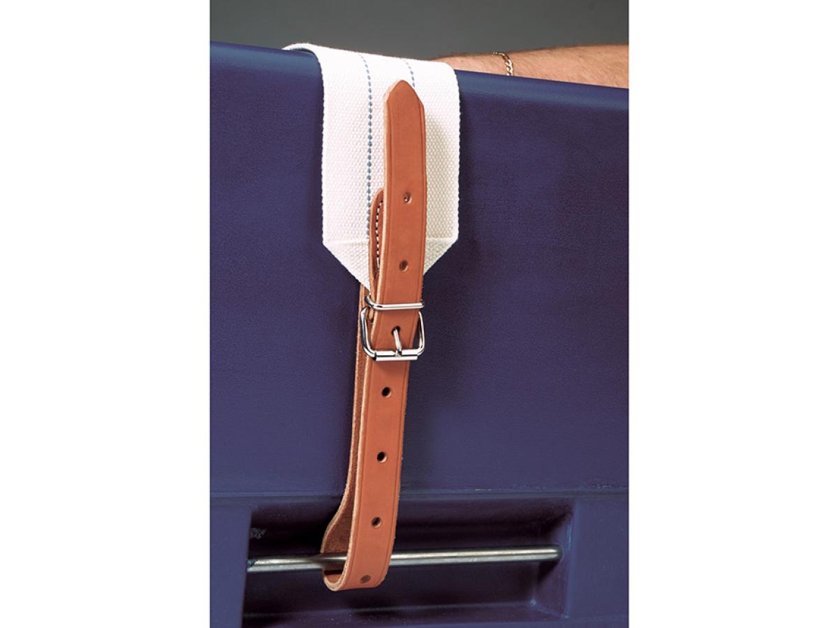 Bed Torso Restraint - SWS Group